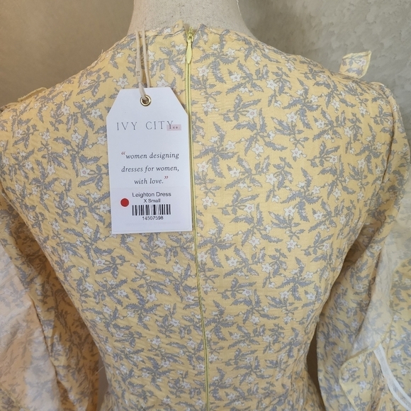 Ivy City Leighton Dress Size XS New with tags - Picture 6 of 13